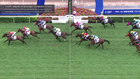 Horse_Race_2022052204_Chinese
