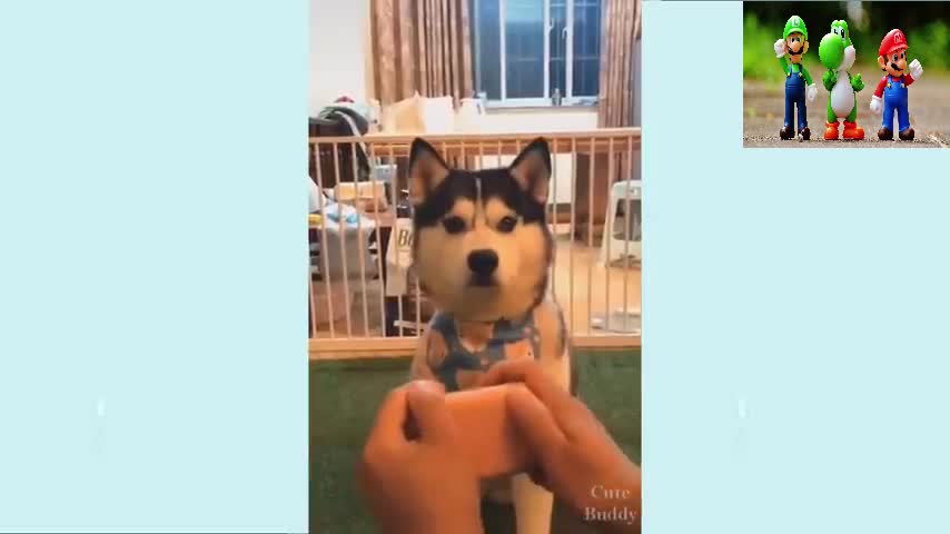 SCARE Funny😂 Video