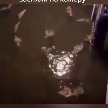 swimmers.mp4 ~ Aquatic Cryptids Skinwalker Creepy Fish Sightings Supernatural Unexplained Paranormal