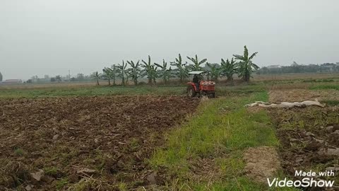 Lớn lên em lái máy cày