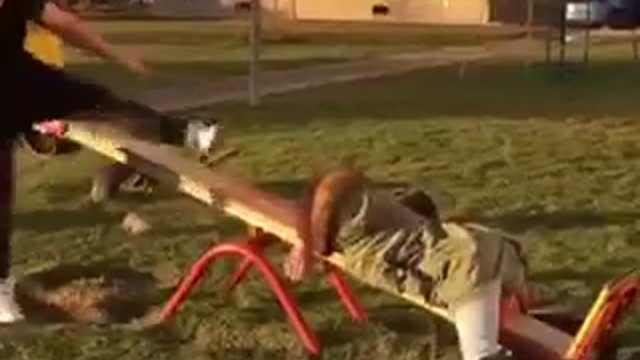 Guy knocks girl in green jacket over on playground seesaw