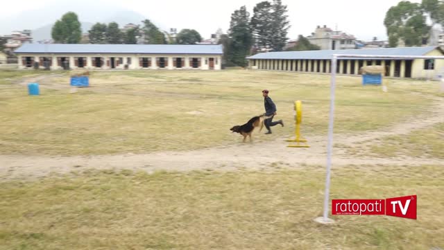 Best nepal police dog training