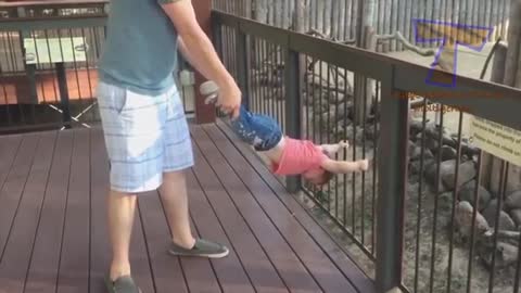 Zoo Animals vs. Unsuspecting Kids - Too Funny!