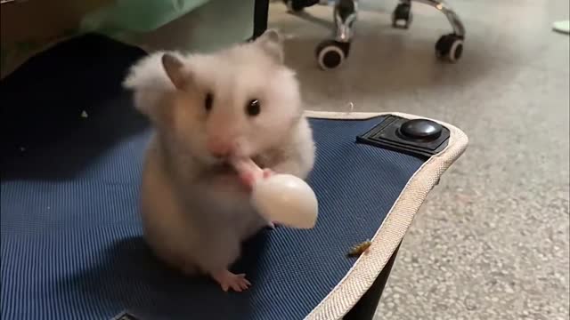 This spoon should be very tasty