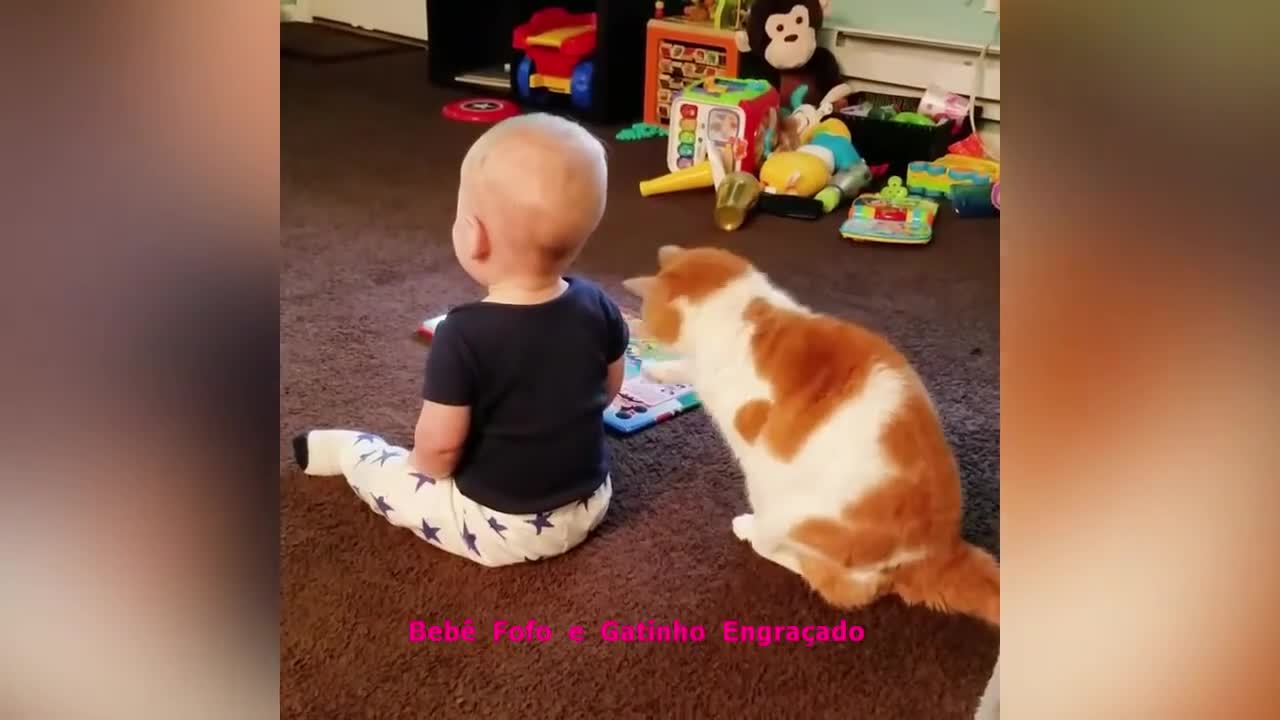 kids and kittens have fun