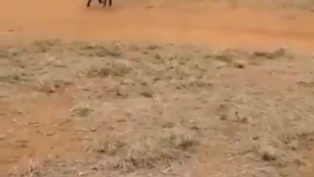 You can't run away from children
