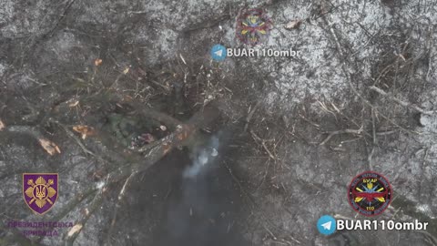 russian meat in Avdiivka