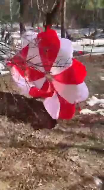 21.03.2022. Demilitarization and denazification of Ukraine!!!