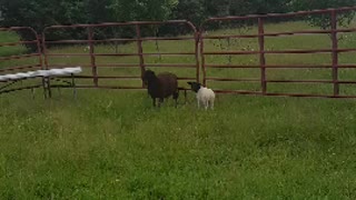 ichy butt!!!