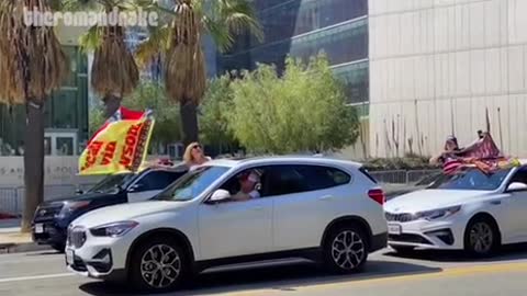 Patriot Caravan at L.A. City Hall PROTESTING
