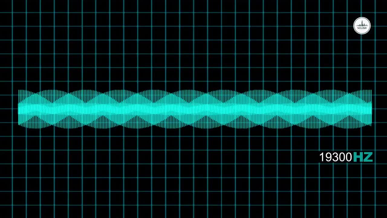 20 Hz To 20K Hz Sound Effect Human Audio Spectrum [High Quality]