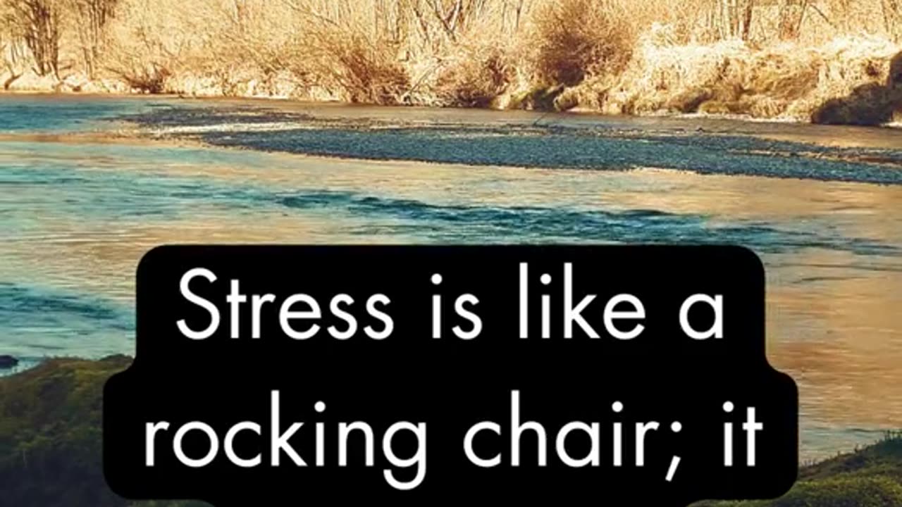 Stress Fact