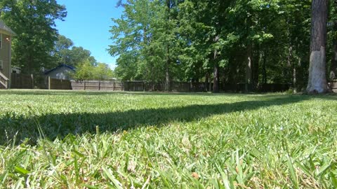 How Regiment Members Mow Their Grass