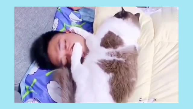 FUNNY VIDEOS OF PUPPIES 🐕 AND KITTENS 🐈