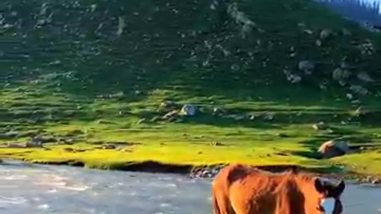 Switzerland vs kashmir beauty