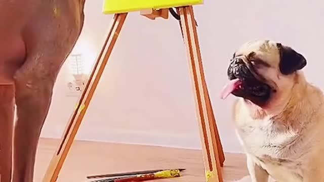 Dogs have been practicing drawing for over a year