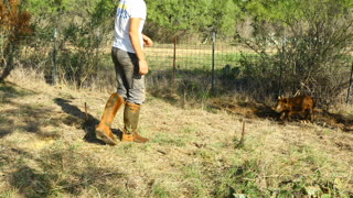 Feral hog tries to attack man