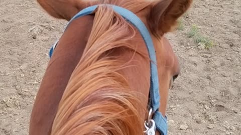 Riding Rio, day2