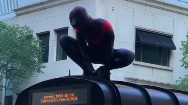 Spider-Man in Chicago