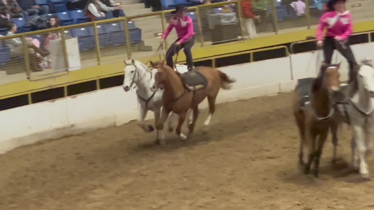 Sunday Morning Red Roman Annual Show