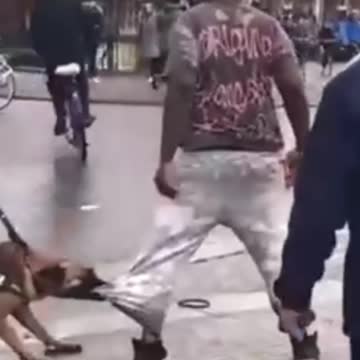 Smart police dog caught the bad guy