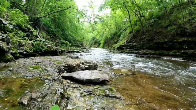 Creek Hiking - Arkansas