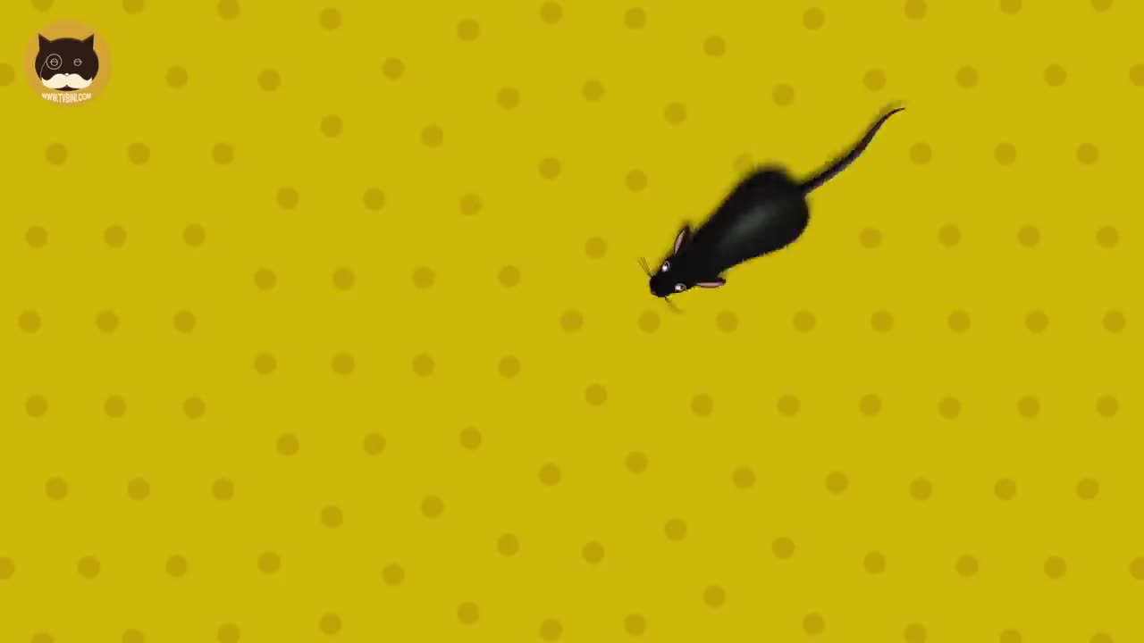 CAT GAMES - Catching Mice! Funny way to play with your cat