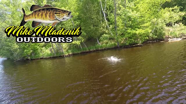 Case magic Stiks on the menominee River