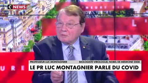 Intervista a Montagnier sul covid