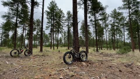 Trails at Oak Flat New Mexico