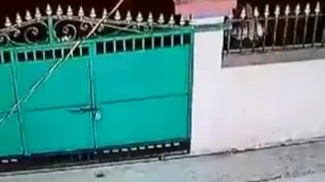 Leopard jumps over gate of house, takes away pet dog. Watch