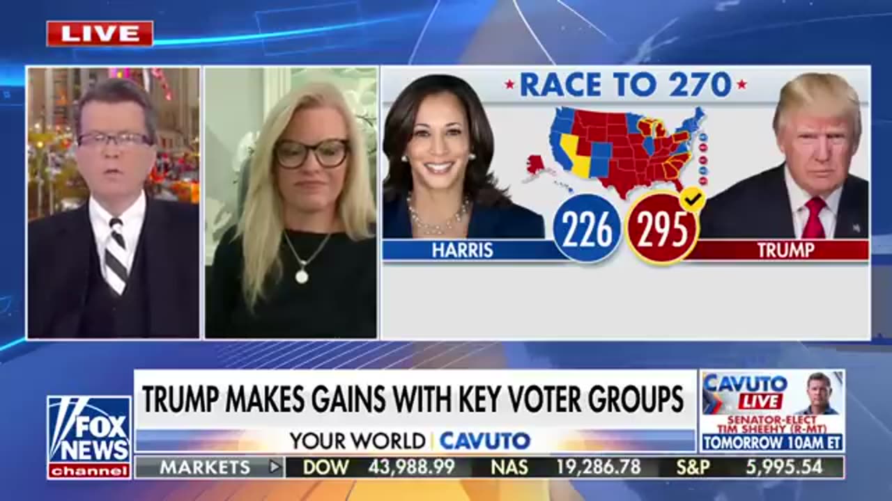 Pollster says Dems made 'miscalculation,' calling Trump win a 'realignment'