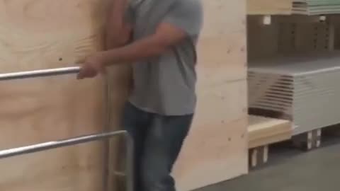 Satisfying life 🧬