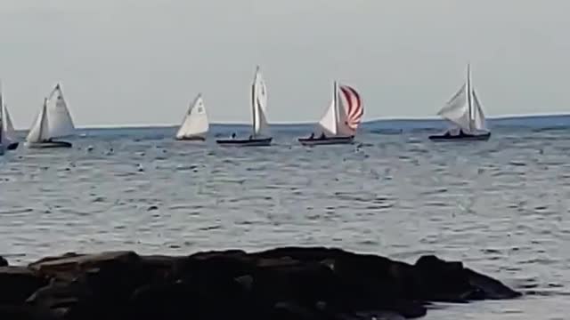 Sailboats At The #beach #adventure #cinematic #shorts