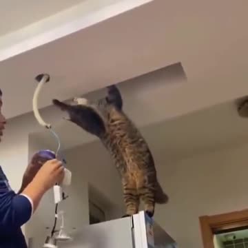 I am An ELECTICIAN 😺