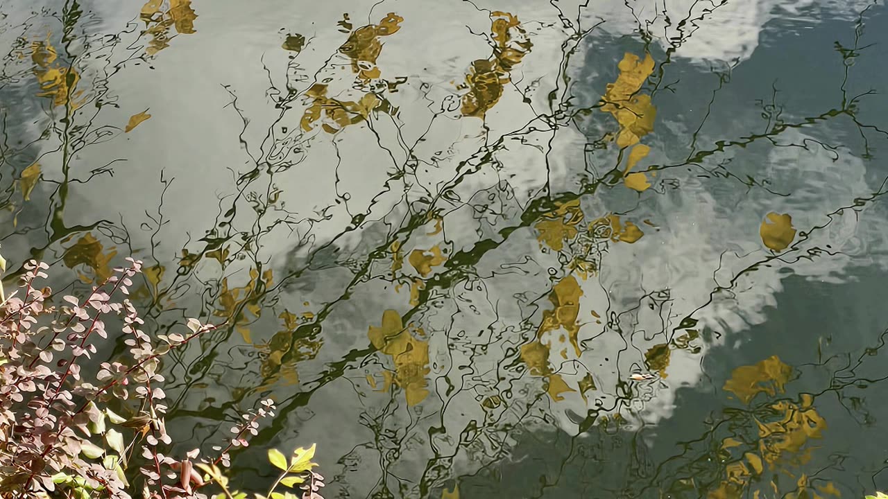 Random takes of a short walk on the R&D Canal, in Central Jersey.