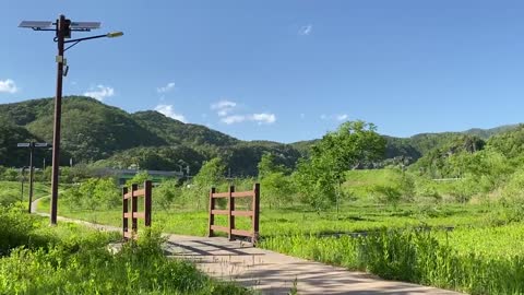 a calm trail in spring