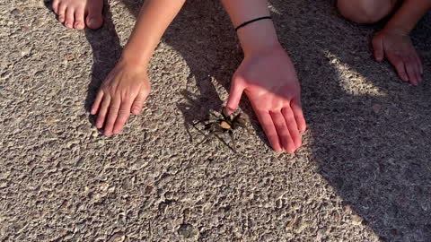 Happy Children Let Wild Tarantula Crawl on Them