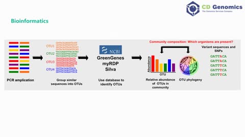 What Is 16s rRNA sequencing？