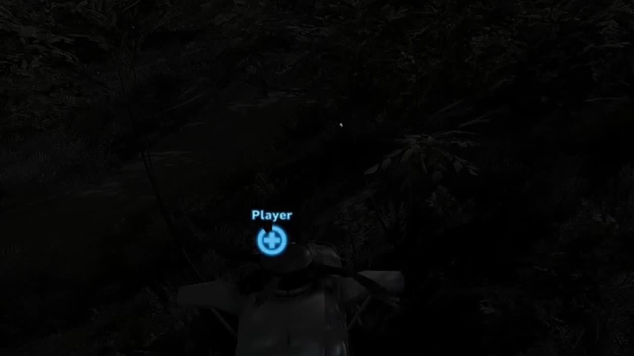 Tom Clancy Ghost Recon Wildlands Shorts