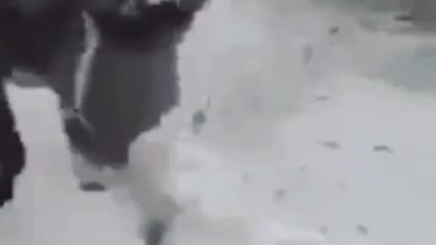 تقليد نصيري