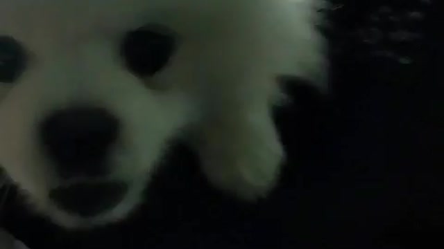 Stop! You idiot.