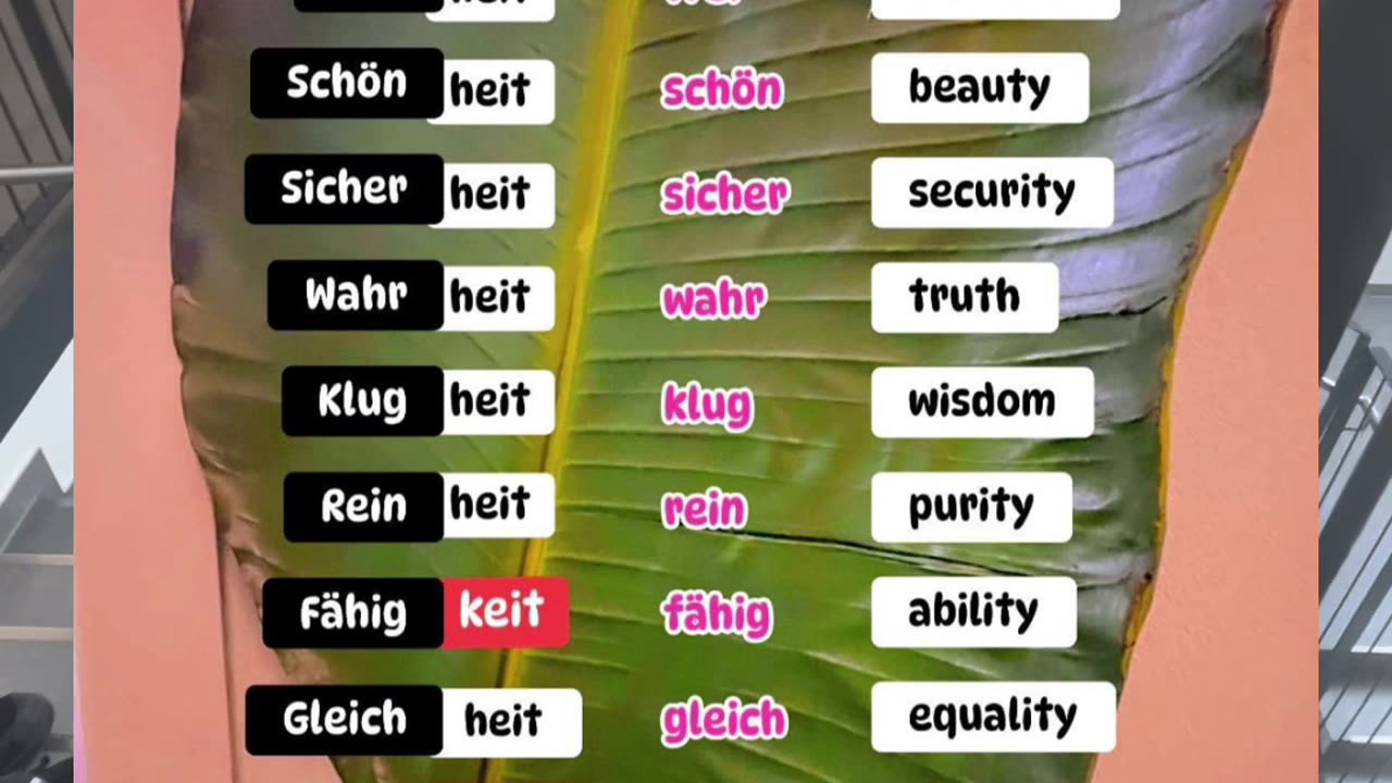 German learning