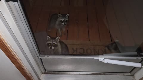 Late Night Visitors