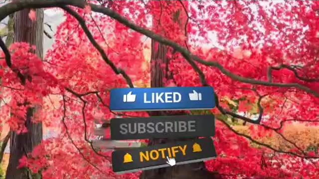 Nature video