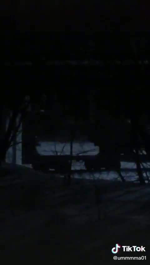 Logistical trucks on train Moscow Nov 27