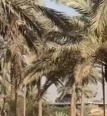 US Embassy In Baghdad Gets Evacuated