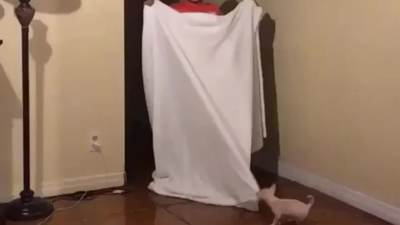 Disappearing Act Fail