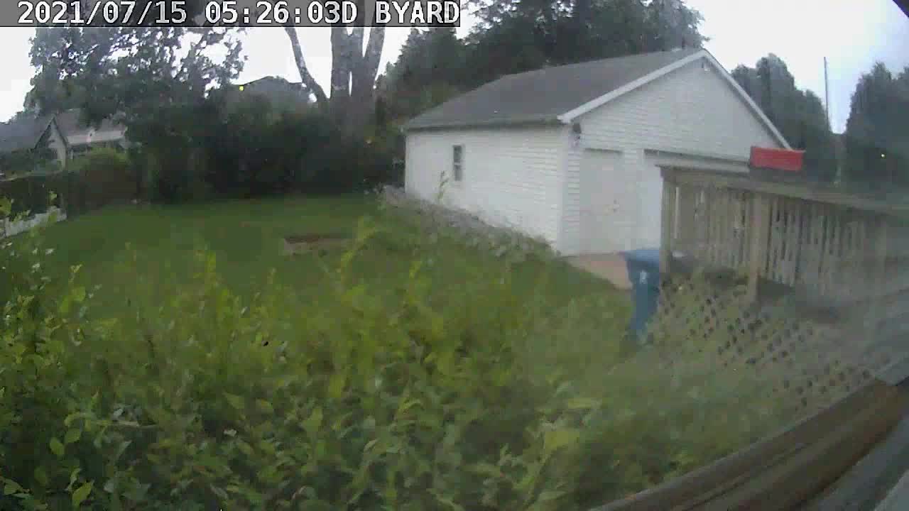 Elmhurst IL - tree falling on my power lines.