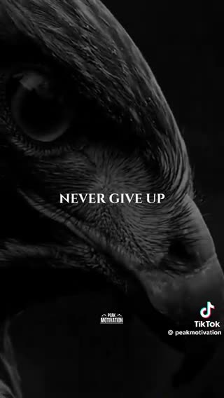 👊DIGI👊SOLDIER⭐️⭐️⭐️ @WWG1WGADS2 👊